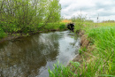 DSC07828.jpg