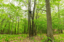 DSC07845.jpg