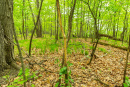 DSC07848.jpg