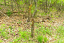 DSC07863.jpg