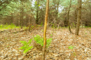 DSC07873.jpg