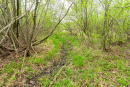 DSC07879.jpg