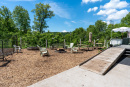 DSC08707-HDR.jpg