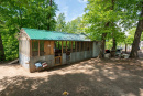 DSC08737.jpg