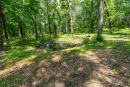 DSC08741.jpg