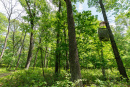 DSC08742.jpg
