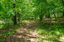 DSC08744.jpg