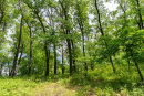 DSC08745.jpg