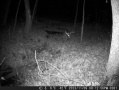 DSCF0281.JPG
