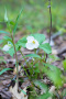 DSC_9041copy.jpg