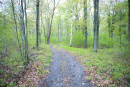 DSC_9043copy.jpg