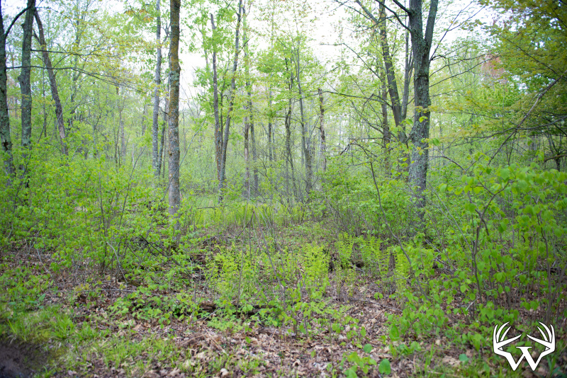 DSC_9045copy.jpg