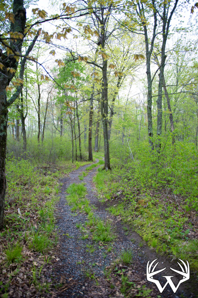 DSC_9047copy.jpg