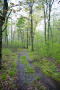 DSC_9047copy.jpg