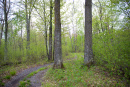 DSC_9049copy.jpg