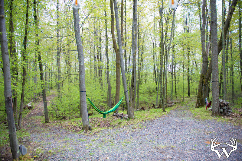 DSC_9111copy.jpg