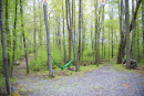 DSC_9111copy.jpg