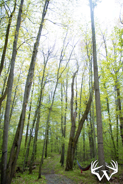 DSC_9122copy.jpg
