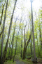 DSC_9122copy.jpg