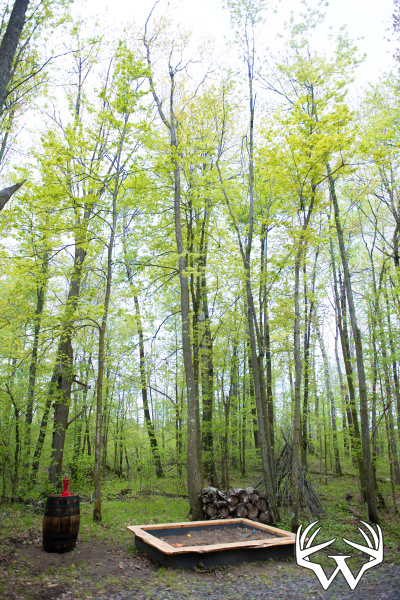 DSC_9123copy.jpg