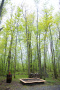 DSC_9123copy.jpg