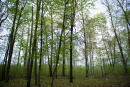 DSC_9136copy.jpg