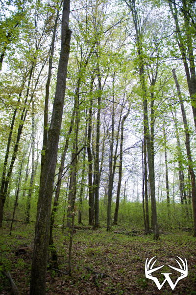 DSC_9138copy.jpg