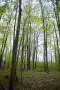 DSC_9138copy.jpg