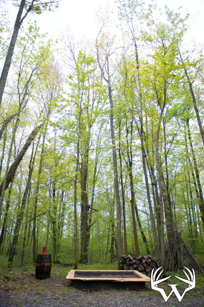 DSC_9149copy.jpg