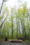 DSC_9149copy.jpg