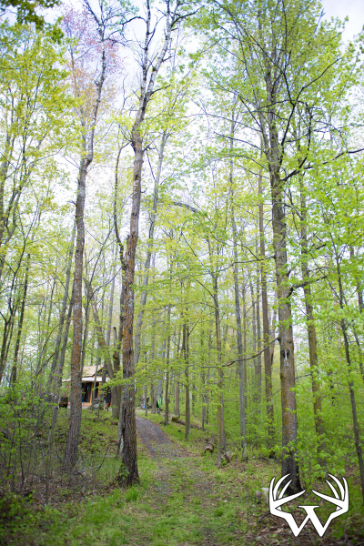 DSC_9210copy.jpg