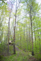 DSC_9210copy.jpg