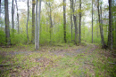 DSC_9212copy.jpg