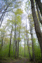DSC_9213copy.jpg