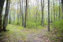 DSC_9219copy.jpg