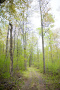 DSC_9223copy.jpg