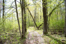 DSC_9239copy.jpg