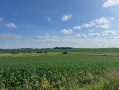 Dane12919_1.jpg