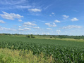 Dane12920_1.jpg