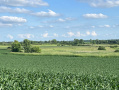Dane1298_1.jpg