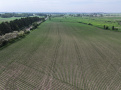 Dane129d2_1.JPG