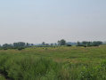 Dane129new8_1.jpg
