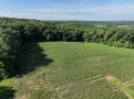 Dane21drone3.JPG