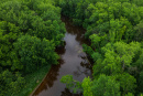 Drone8.jpg