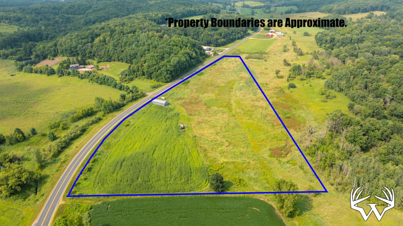 DroneAerial1_2.jpg