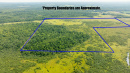 DroneAerial1_3.jpg