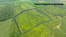 DroneAerial1_4.jpg