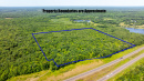DroneAerial1.jpg