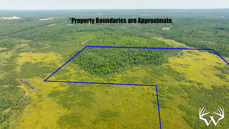 DroneAerial3_3.jpg