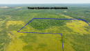 DroneAerial3_3.jpg
